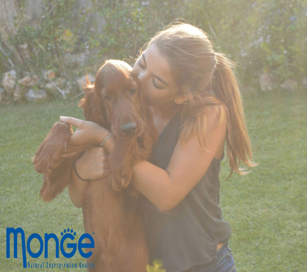 Image Name|Γνωρίστε τη Karla, το όμορφο Irish Setter athina&rea