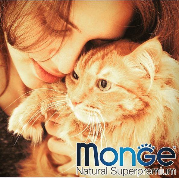 Image Name|MONGE Photo Gallery