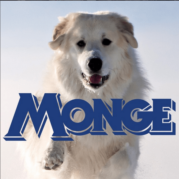 Image Name|MONGE Photo Gallery