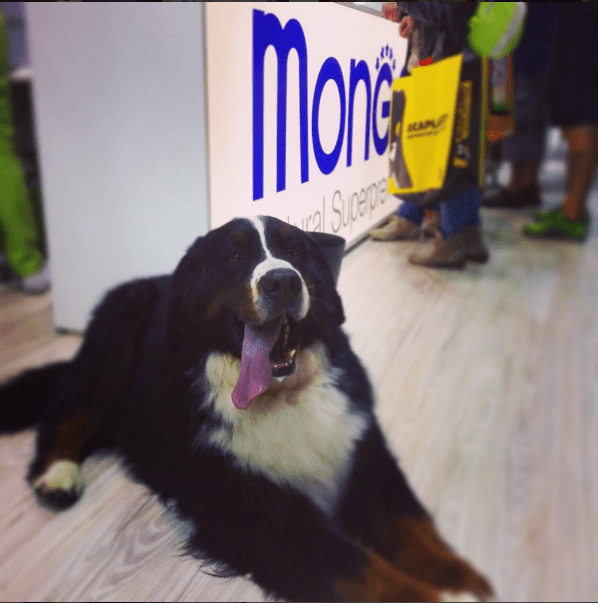 Image Name|MONGE Photo Gallery